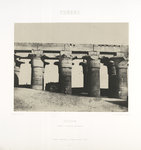 Thèbe.: Louqsor, grande colonnade du palais.