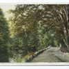 Yaddo, Home of Spencer Trask, Saratoga Springs, N.Y.