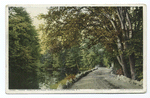 Yaddo, Home of Spencer Trask, Saratoga Springs, N.Y.