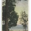 Shore Path to Huletts, Lake George, N.Y.