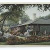 A Typical Californian Bungalow, California