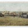 A Western Threshing Scene