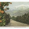 Snow and Oranges, A California Anomaly, California