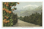 Snow and Oranges, A California Anomaly, California