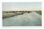 Irrigation Canal