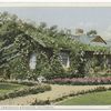 A Rose Embowered Bungalow, California