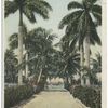 Royal Palms, Palm Beach, Fla.