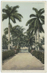 Royal Palms, Palm Beach, Fla.