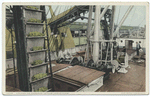 Unloading Bananas, Steam Conveyors