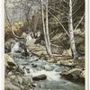 Cold Water Canyon, Arrowhead, Calif.