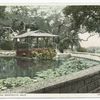 A Lily Pond, Montecito, Calif.