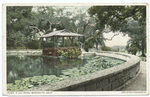A Lily Pond, Montecito, Calif.