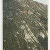 Mt. Webster from Mt. Willard, White Mountains, N.H.