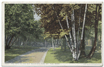 Path to Zoo, Mountain Park, Mt. Tom, Mass.