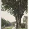 Main Street, North, Lenox, Mass.
