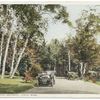 The Birches, Lenox, Mass.