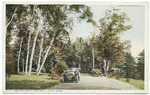 The Birches, Lenox, Mass.