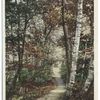 Woodland Path, Lenox, Mass.