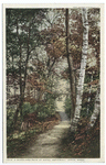 Woodland Path, Lenox, Mass.