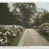 Fairlawn, Home of Miss A. Kneeland, Lenox, Mass.