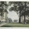 West Street from Park, Pittsfield, Mass.