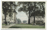West Street from Park, Pittsfield, Mass.