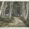 Y.M.C.A.  Camp, Pittsfield, Mass.
