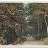 Shady Lane, Berkshire Park, Pittsfield, Mass.