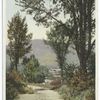 Road to Greylock, Adams, Mass.
