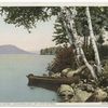 Along the Shore (Concordia Bay), Lake George, N. Y.