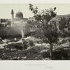 The Pool of Bethesda, &c., Jerusalem