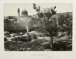 The Pool of Bethesda, &c., Jerusalem