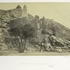 Doumed palm, and ruined mosque, Philæ