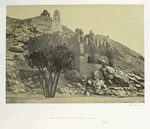Doumed palm, and ruined mosque, Philæ