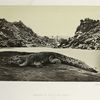 Crocodile on a sand bank