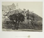 Doum palm, and ruined mosque