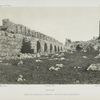 Karak, chemin de ronde de la première enceinte de la forteresse.