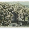 A Home of Roses, Pasadena, Calif.