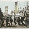 Unloading a Banana Steamer, Mobile, Ala.