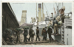 Unloading a Banana Steamer, Mobile, Ala.