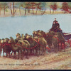 Camel team.