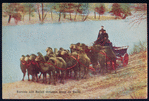 Camel team.