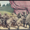 Performing elephants.