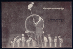 Buckley's performing dogs.