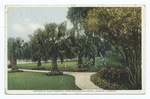 Corner of Rose Garden, New Ocklawaha Hotel, Eustis, Florida