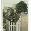 Hussey Street, Nantucket, Mass.