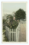 Hussey Street, Nantucket, Mass.