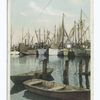 "Snug Harbor", Nantucket Island, Mass.