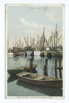 "Snug Harbor", Nantucket Island, Mass.