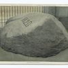 Plymouth Rock